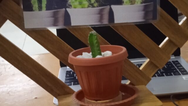 548218146_1304613124782945_7207239595889542068_n