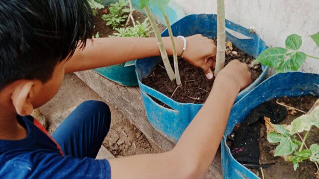 557590653_1383283987132723_6994067754533206008_n