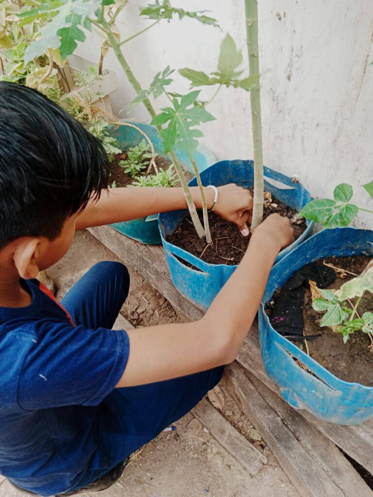 557590653_1383283987132723_6994067754533206008_n