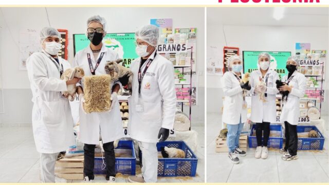 557598549_1310498560772845_5421693741610928263_n