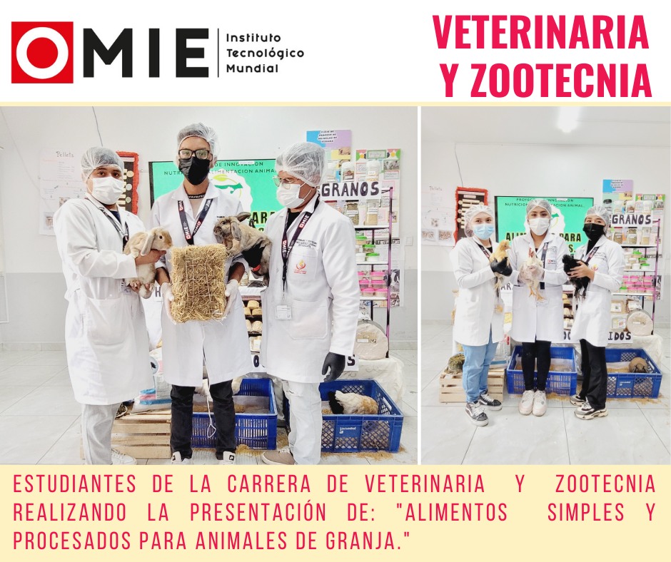 557598549_1310498560772845_5421693741610928263_n