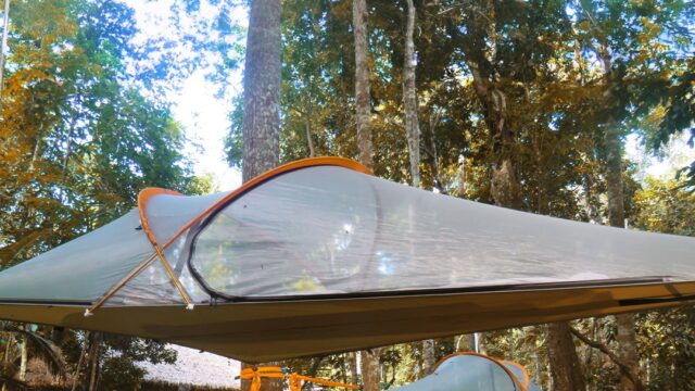 558128931_1422618136540280_4945634917932686462_n