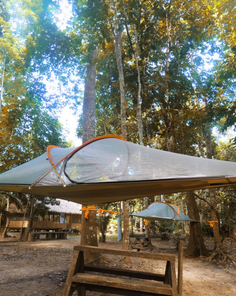 558128931_1422618136540280_4945634917932686462_n