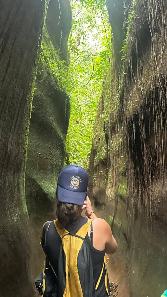 559003772_122196323462321359_3414986789278373683_n