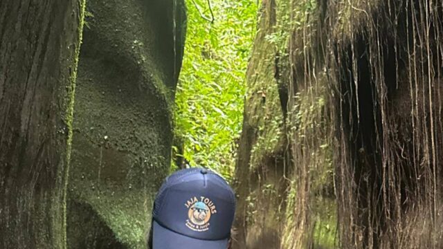 559003772_122196323462321359_3414986789278373683_n