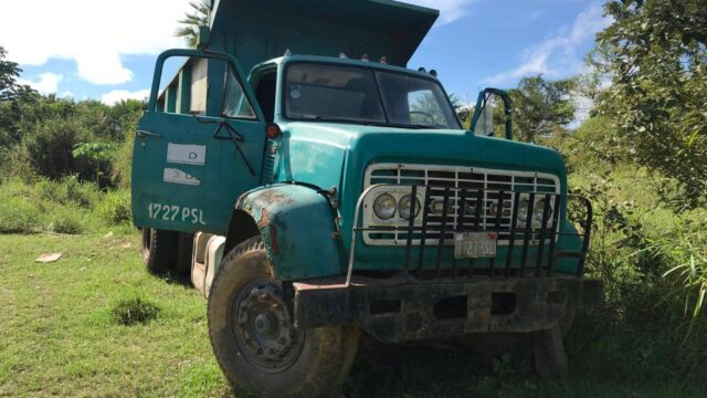 64574976_2206230079498642_6604392548456726528_n