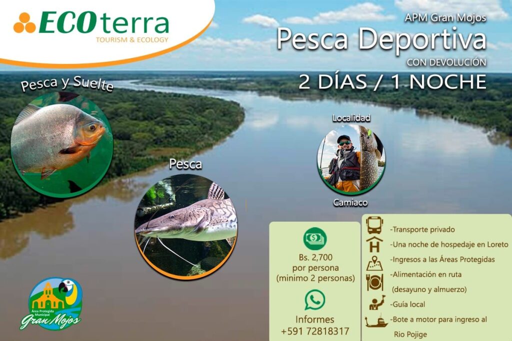 67847829_918105528537050_1158628012904677376_n