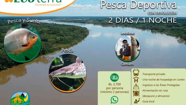 67847829_918105528537050_1158628012904677376_n