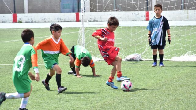 comunitarios-de-verano-1