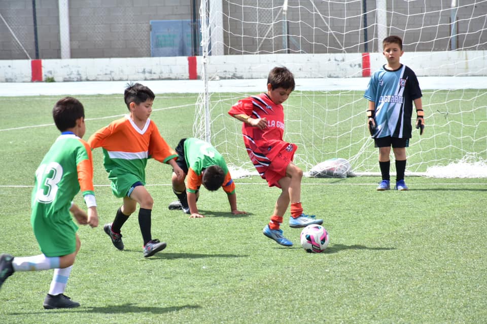 comunitarios-de-verano-1