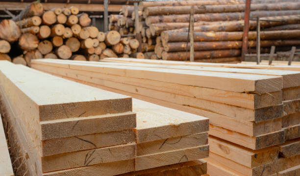 istockphoto-1355984033-612x612