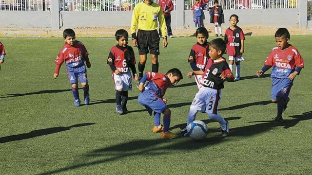 nota41346_imagen37715