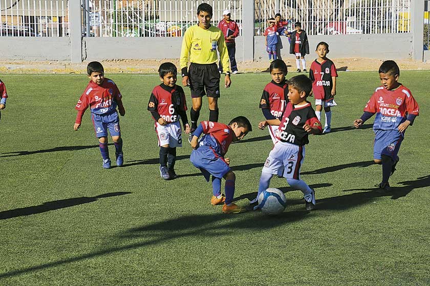 nota41346_imagen37715