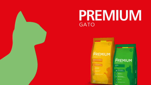 101673953_247764433318039_5258928355754901504_n