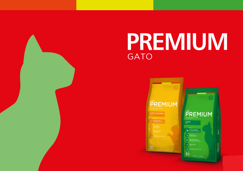 101673953_247764433318039_5258928355754901504_n