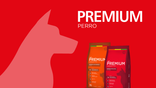 101808887_247754759985673_6691371670629777408_n