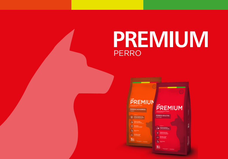 101808887_247754759985673_6691371670629777408_n