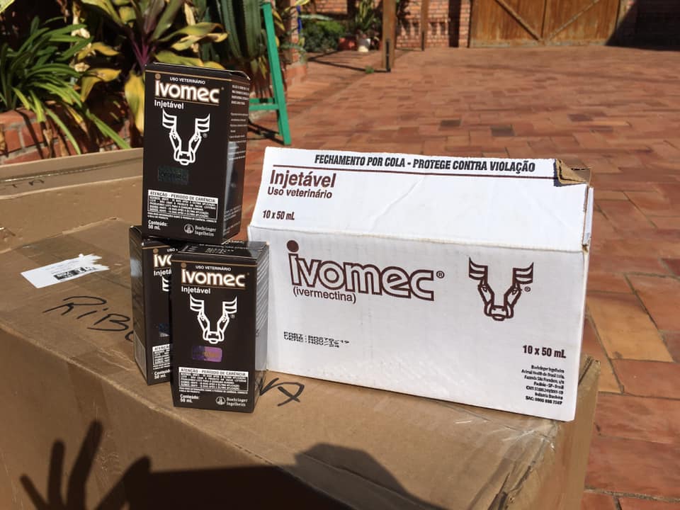 103079462_126836235701846_3168753985470282667_n