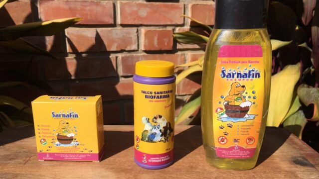 106985521_138212281230908_7196596427427138579_n