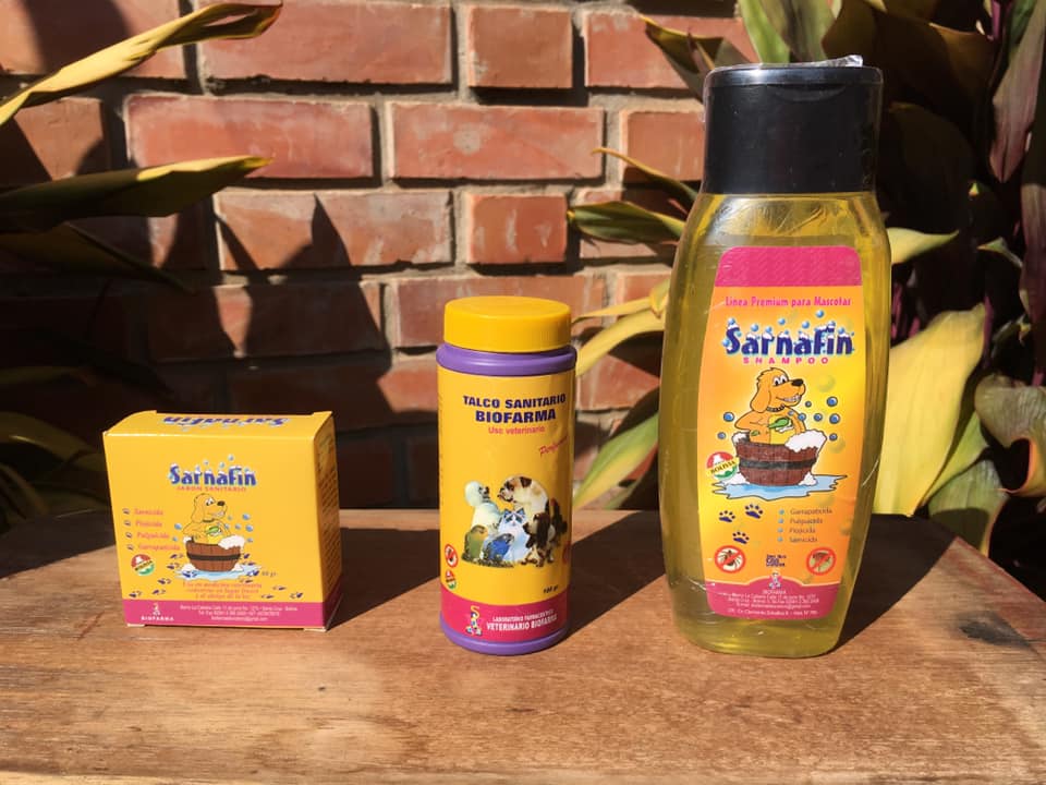 106985521_138212281230908_7196596427427138579_n