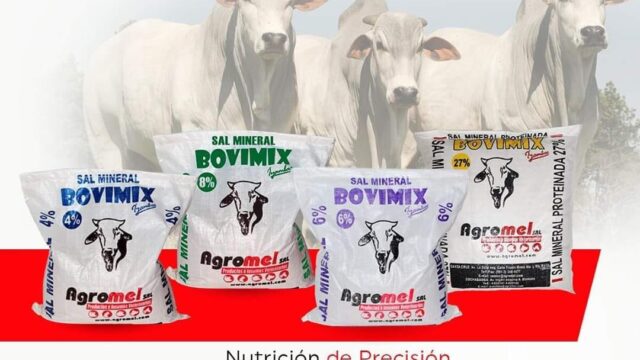 107075169_105764624545898_1449661263275036894_n