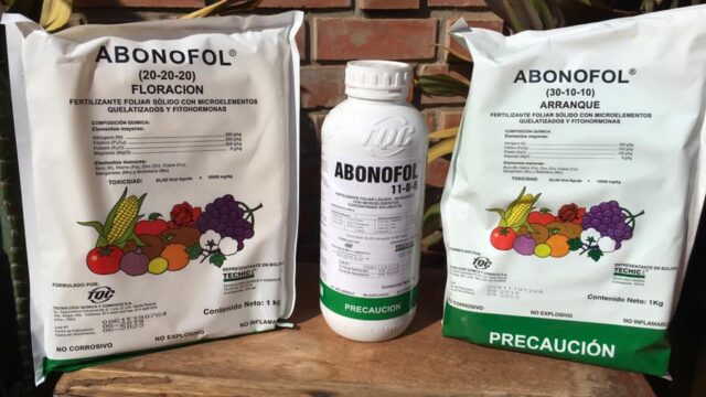 107082073_138206774564792_855871637802879648_n