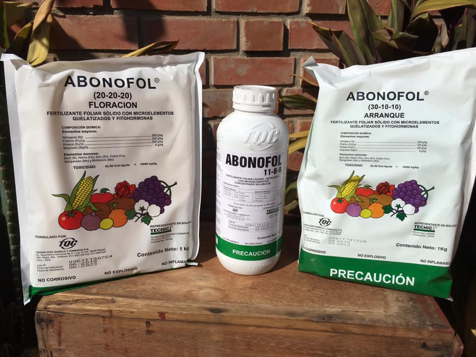 107082073_138206774564792_855871637802879648_n