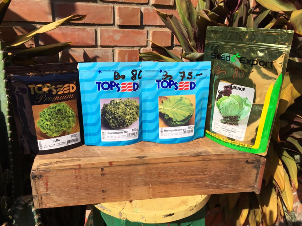 107150794_138206001231536_3779666013175214865_n