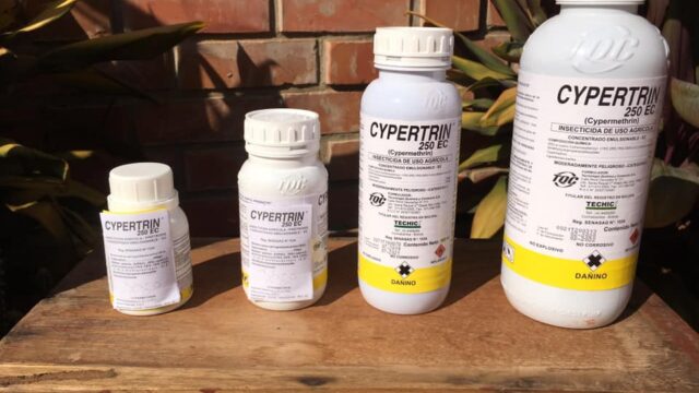 107734800_138206201231516_2050973583166544869_n