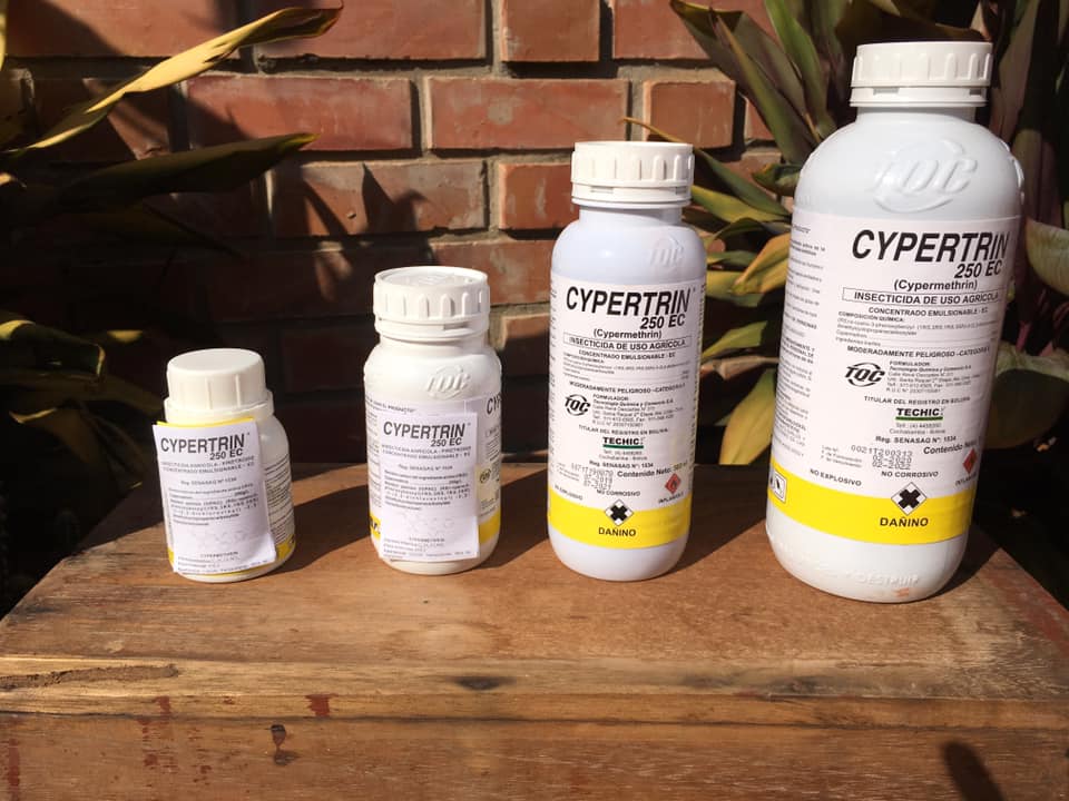 107734800_138206201231516_2050973583166544869_n