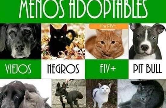 120301494_109487800919316_3716914435708023571_n