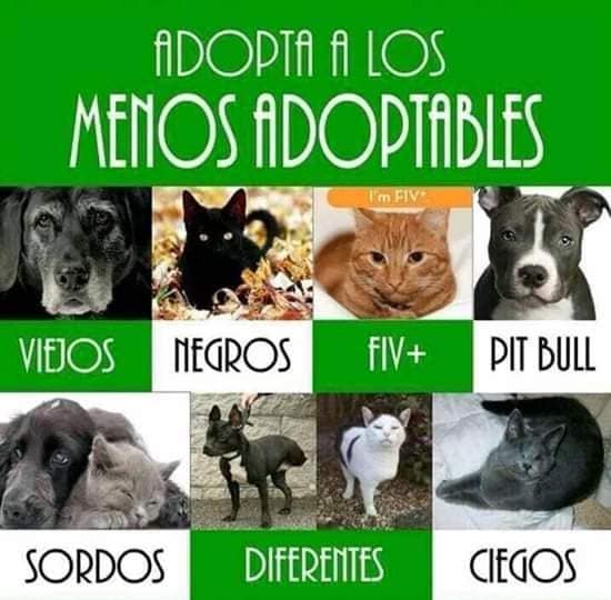 120301494_109487800919316_3716914435708023571_n