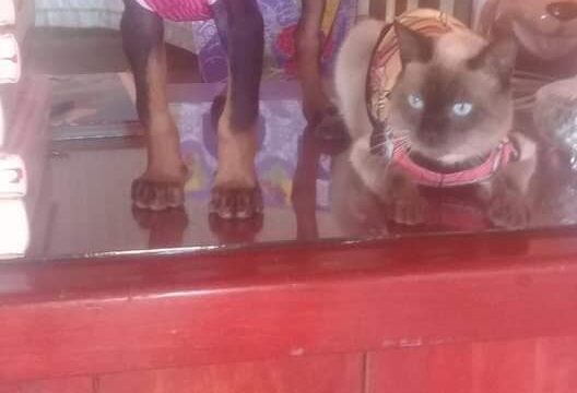 120700793_111811050686991_4830129569636228530_n