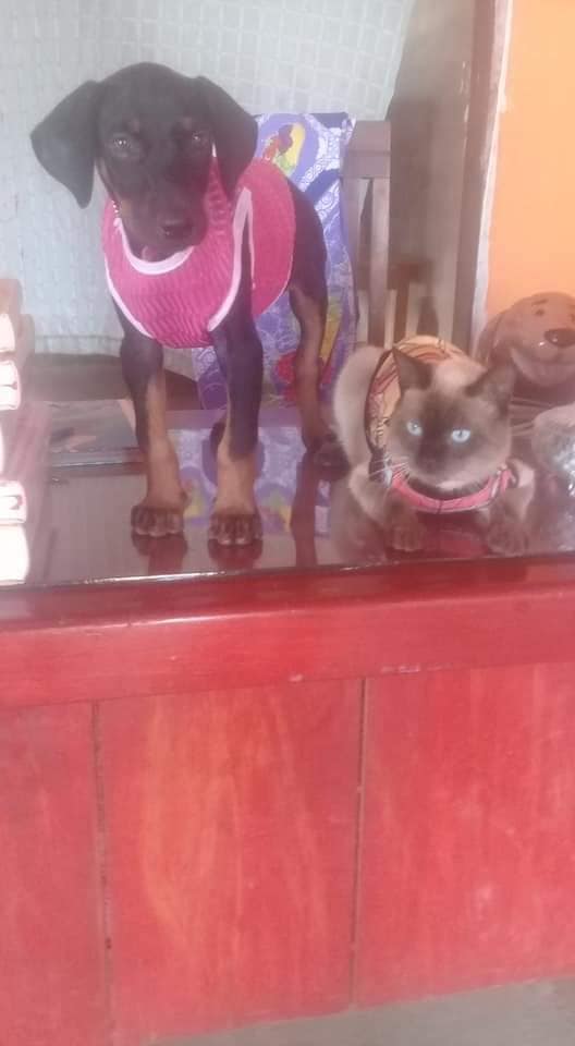 120700793_111811050686991_4830129569636228530_n