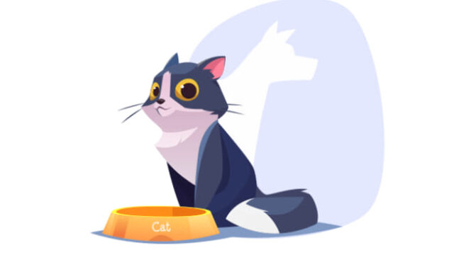 121444564_118481560021452_2317411897254339756_n