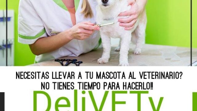 121482152_122246482978293_5722428781288686804_n