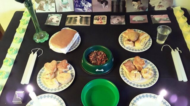 123049280_3969826159713892_8019641713574219681_n