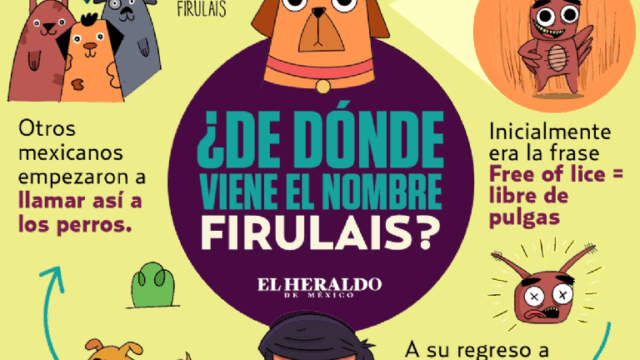 147867494_107362078056306_6251458496253081_n