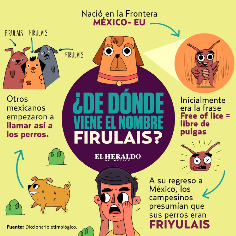 147867494_107362078056306_6251458496253081_n