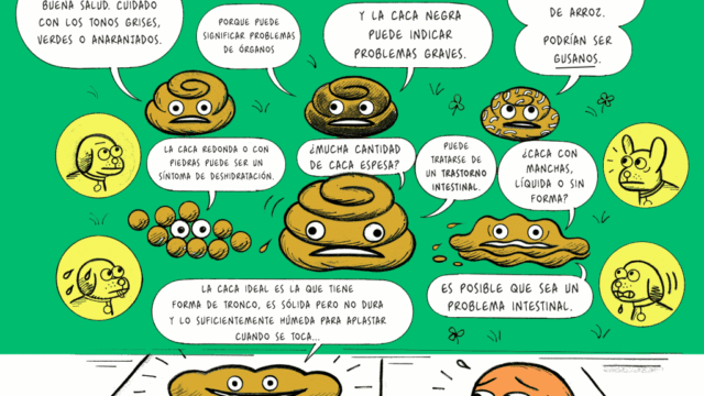 149882025_108044871321360_4742592188550439487_n