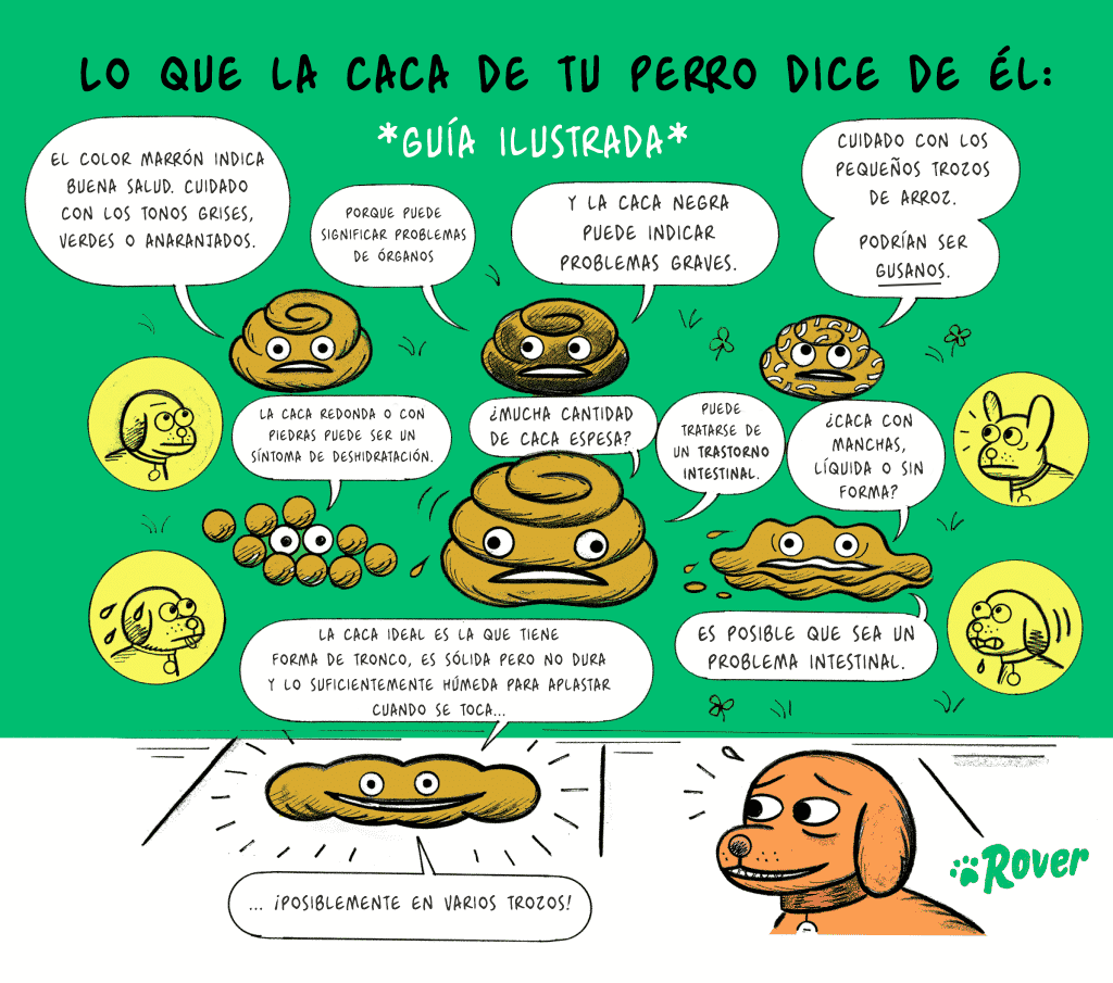 149882025_108044871321360_4742592188550439487_n