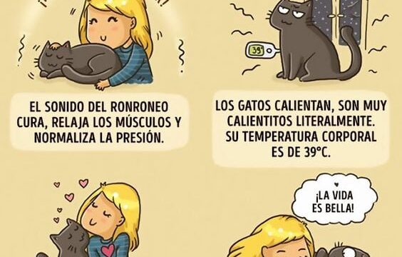 150101371_113905900735257_3200364937586526775_n