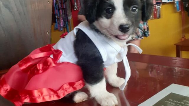 150572313_202837001584395_366623541522284968_n