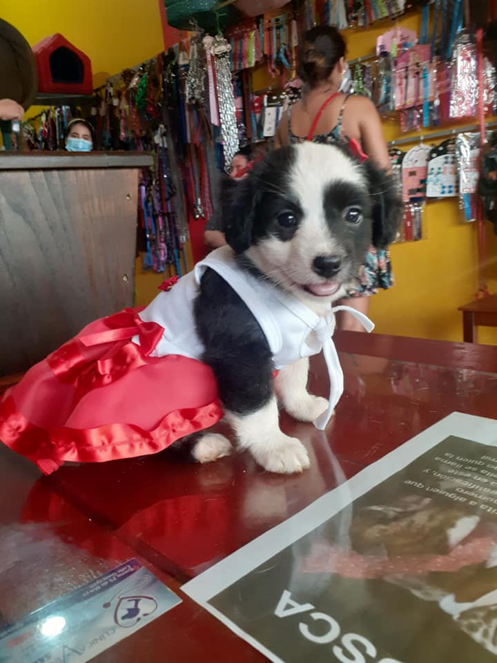 150572313_202837001584395_366623541522284968_n