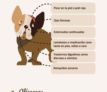 151321358_113902834068897_576212183080565747_n