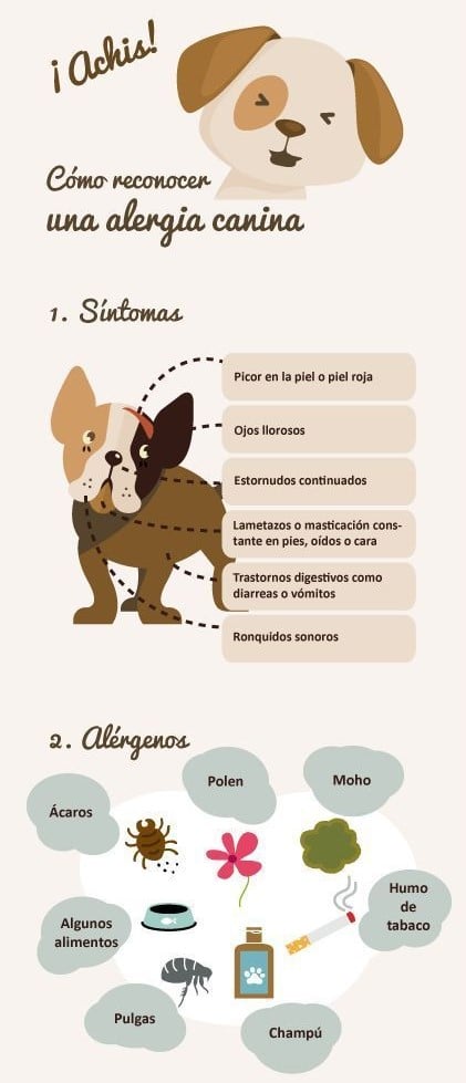 151321358_113902834068897_576212183080565747_n