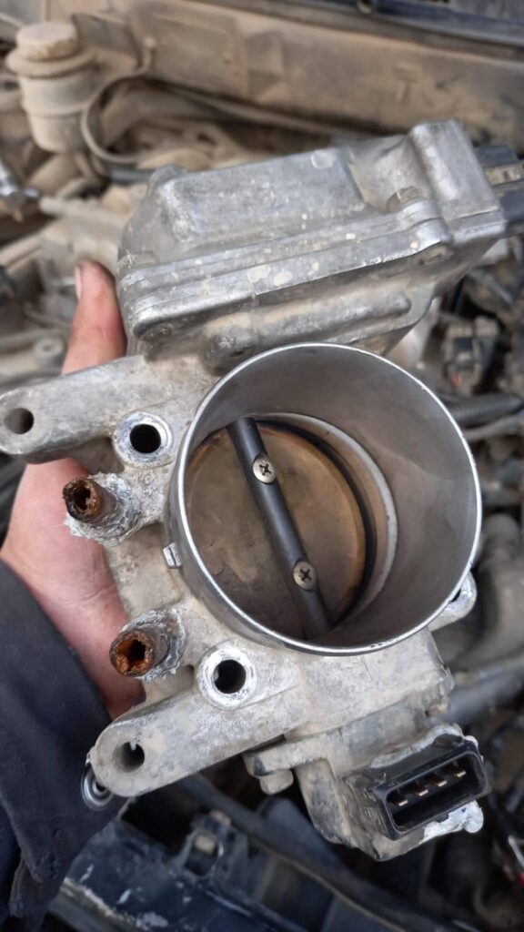 173292018_288156642878973_5679786980280580082_n