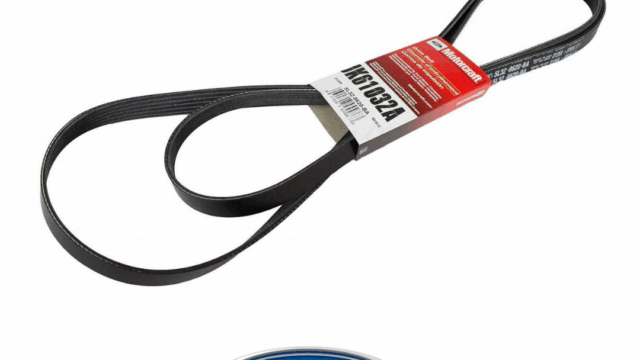 188149288_277862587398094_2842670639597228539_n