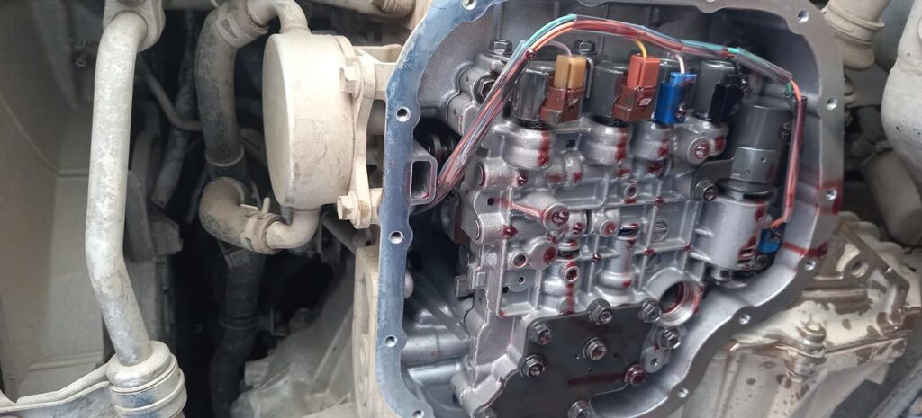 192785647_317426556618648_2218471859130484771_n