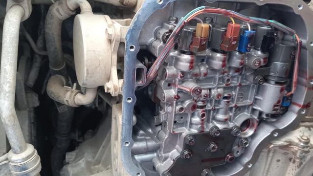 192785647_317426556618648_2218471859130484771_n